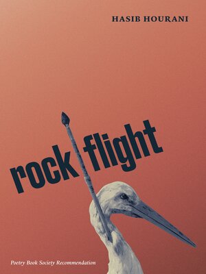 cover image of rock flight